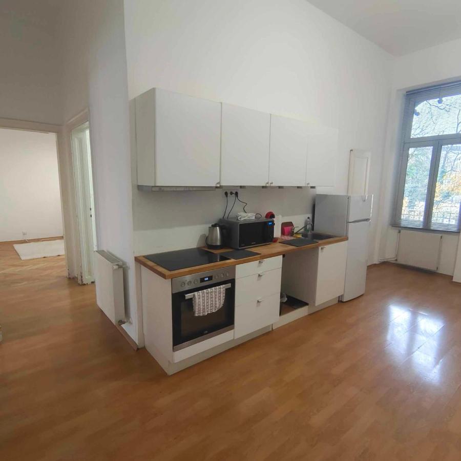 Large 4 Room Apartment In The Center Of Viena Exterior foto